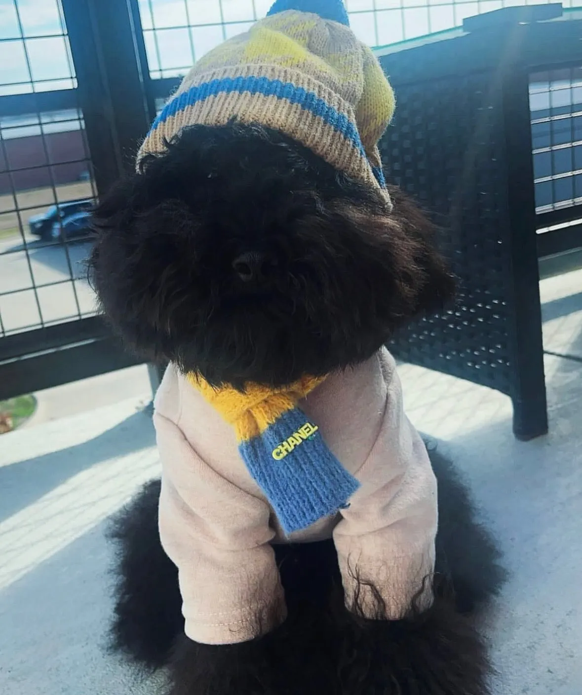 Cozy Knitted Dog Scarf