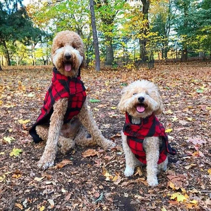 RED/BLACK PLAID BOUCLÉ DOG COAT